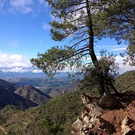 La Tramontana Estivella