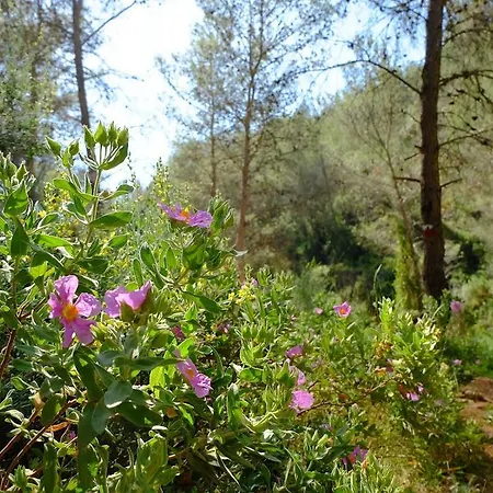 Casa de Campo La Tramontana Estivella